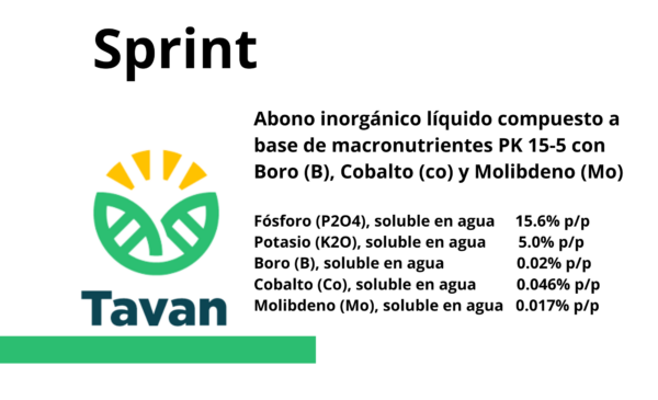 Sprint
