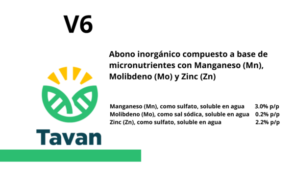 V-6
