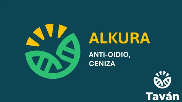 Alkura