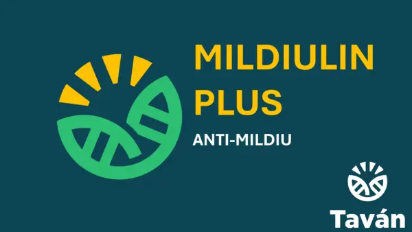 Mildiulin Plus