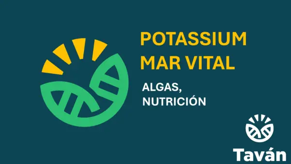 Potasium Mar Vital